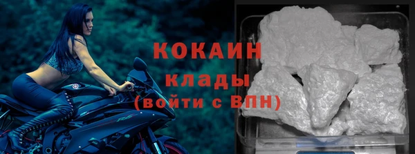 кокс Инта