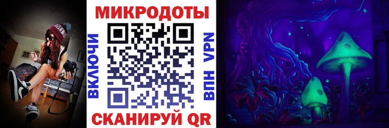 Купить где  Игарка  Галлюциногенные грибы Magic Shrooms 