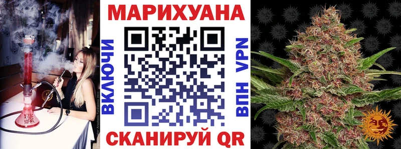 Купить где  Игарка  Бошки Шишки сатива 